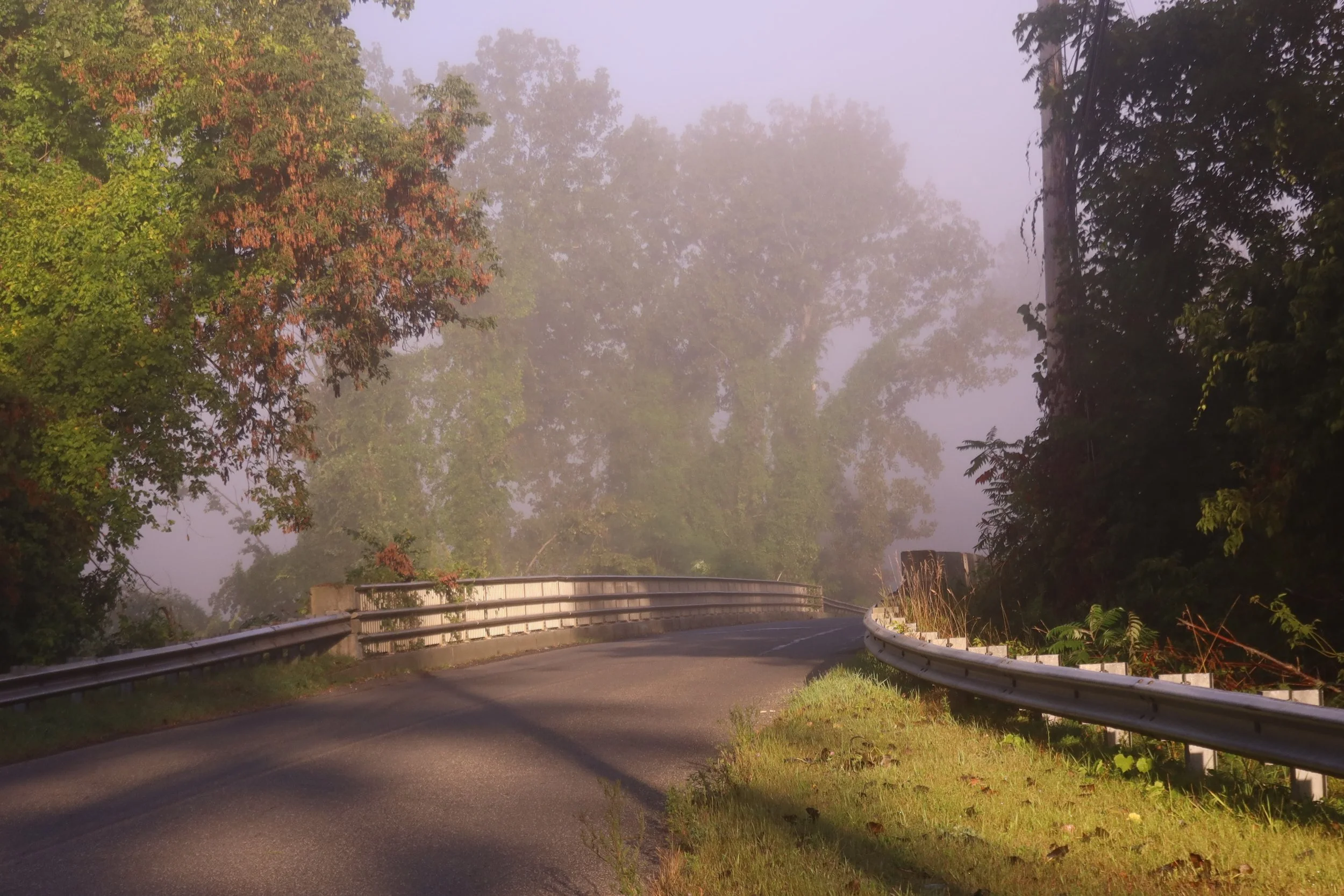 Before The Mist