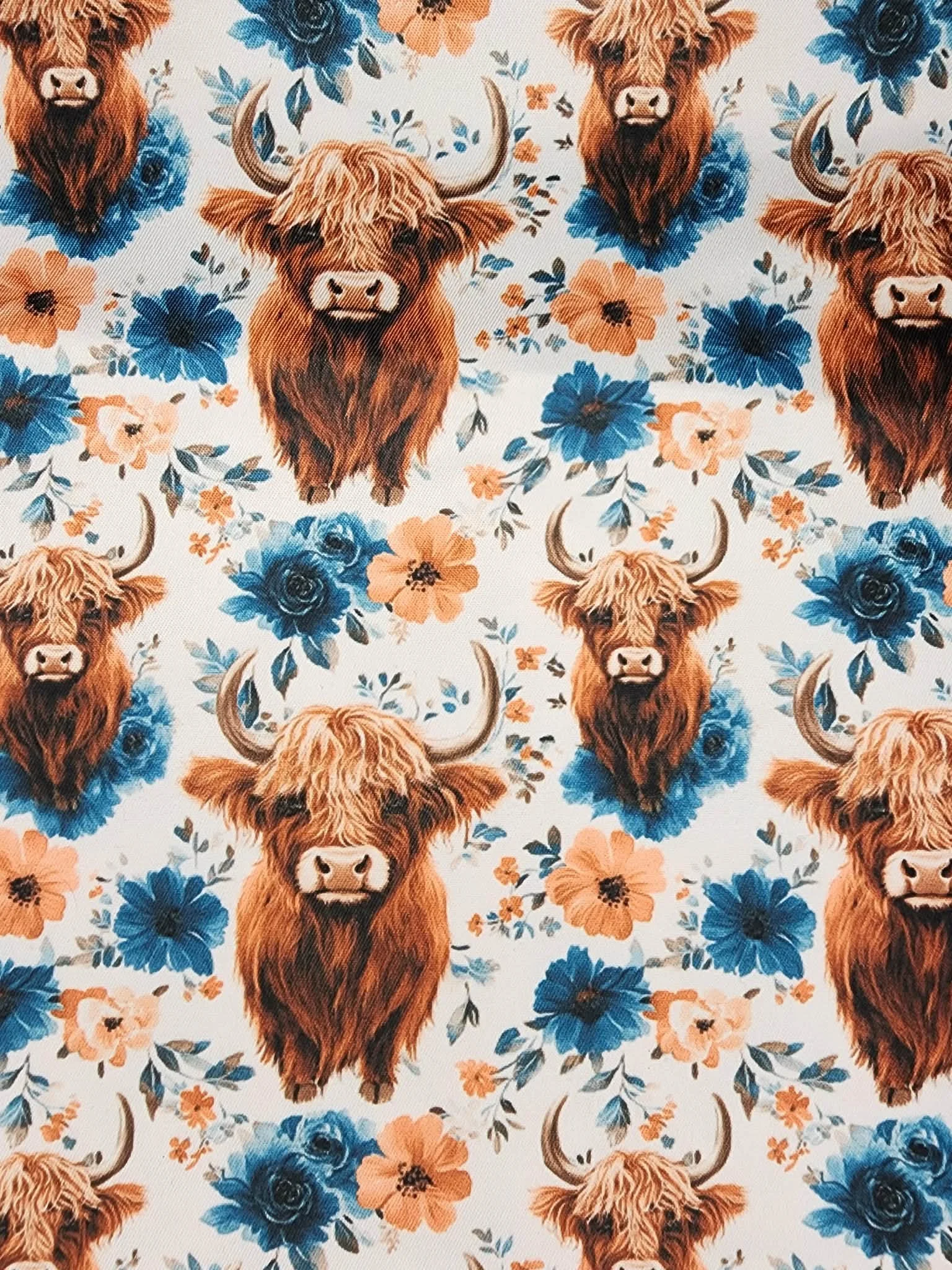0001 white cows.jpg