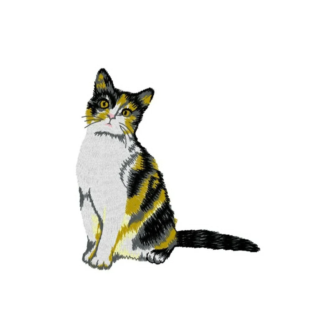 Animals - cat - calico.jpg