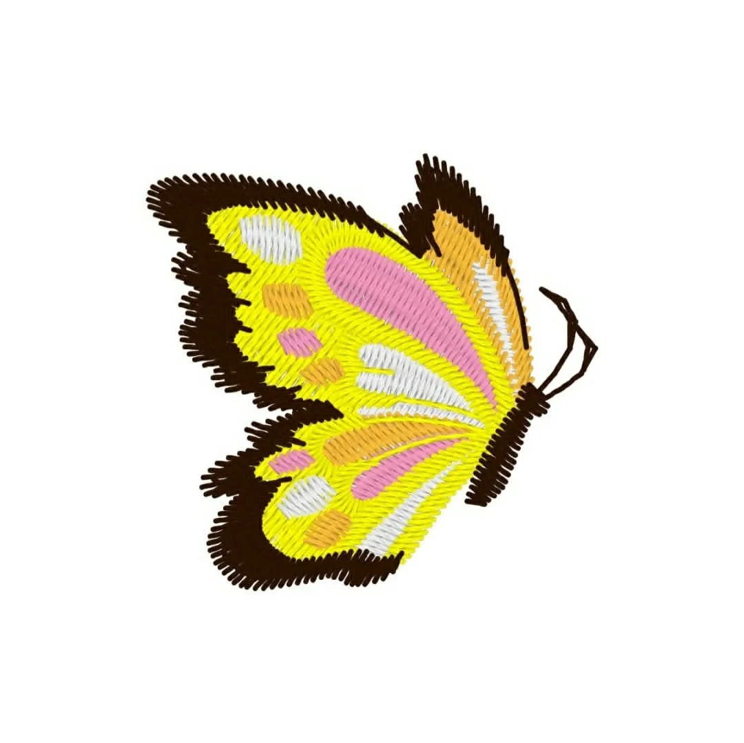 Animals - insect - butterfly spring.jpg