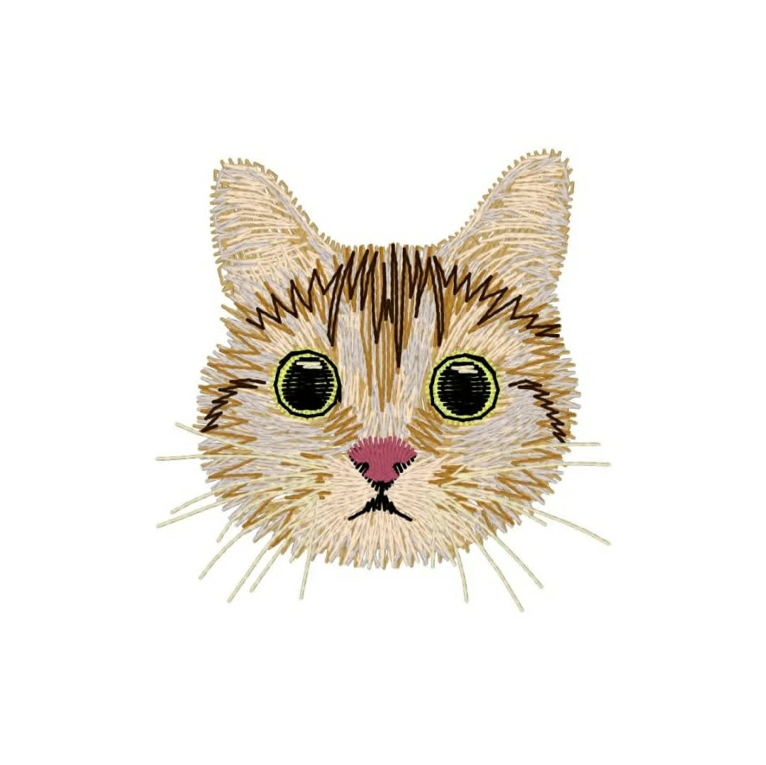 Animals - cat - cat face.jpg