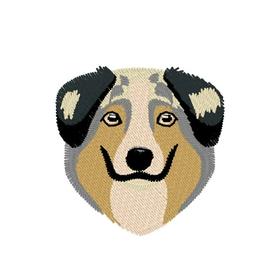 Animals - Dog - Austrialian Shepherd.jpg