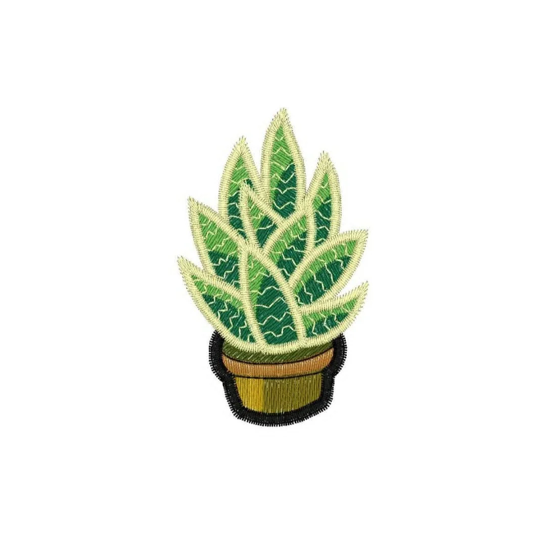 Plants - house plants - aloe.jpg