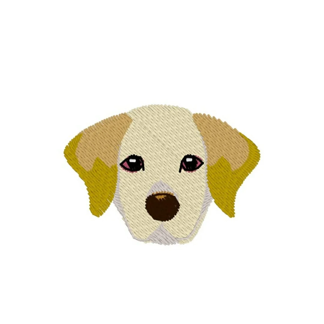 Animals - dog - lab.jpg