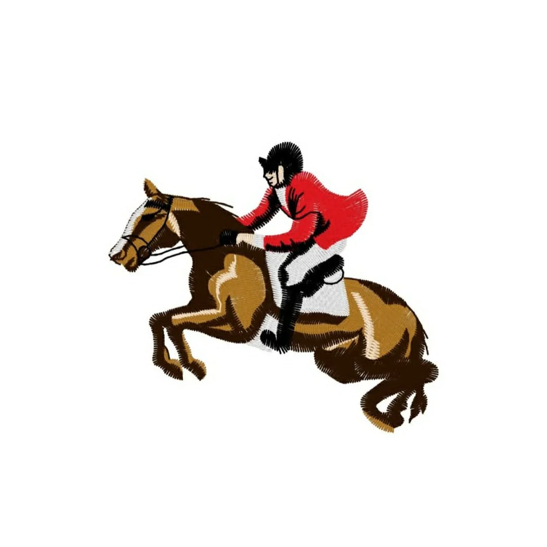 Animals - horse - jockey and horse.jpg