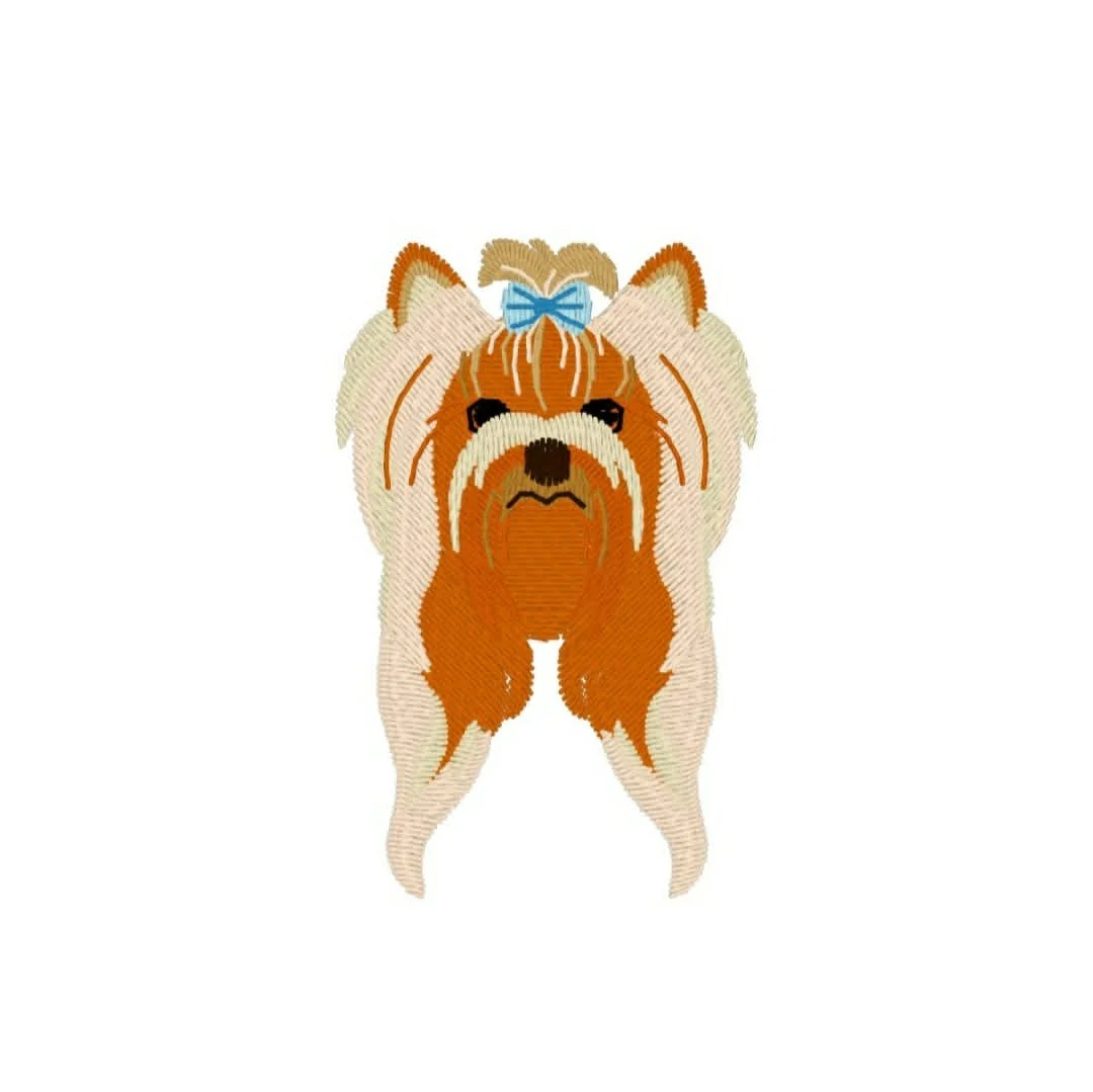 Animals - Dog - Yorkie 2.jpg