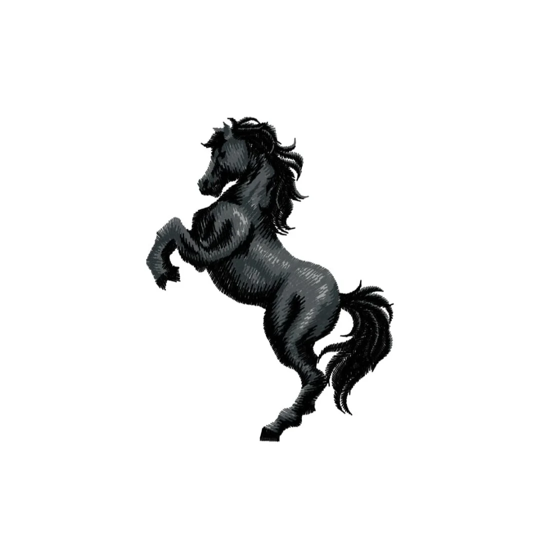 Animals - horse - stallion.jpg