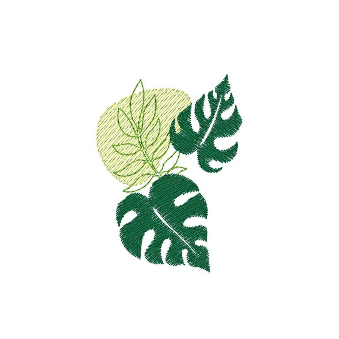 Plants - leaves - monstera.jpg