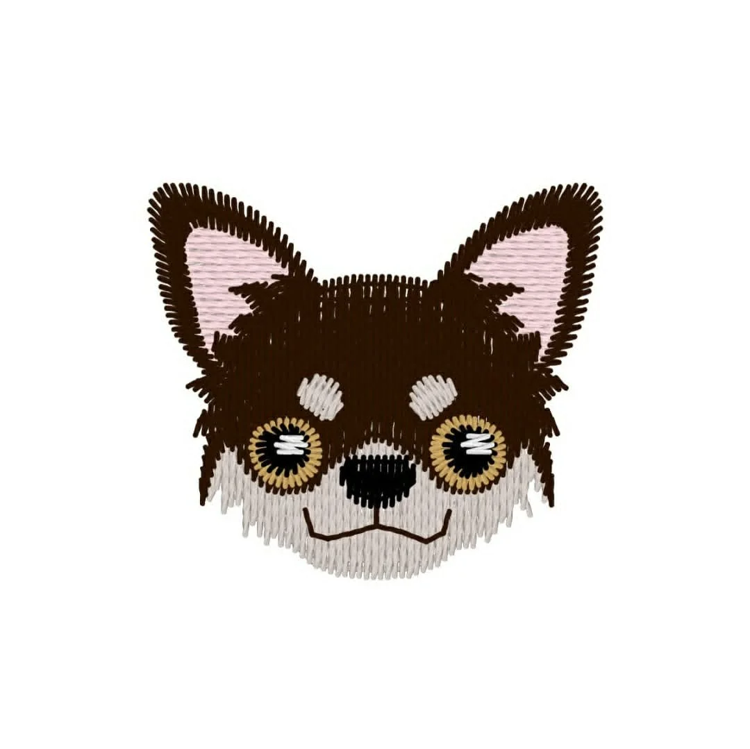 Animals - Dog - Chuiuaua.jpg