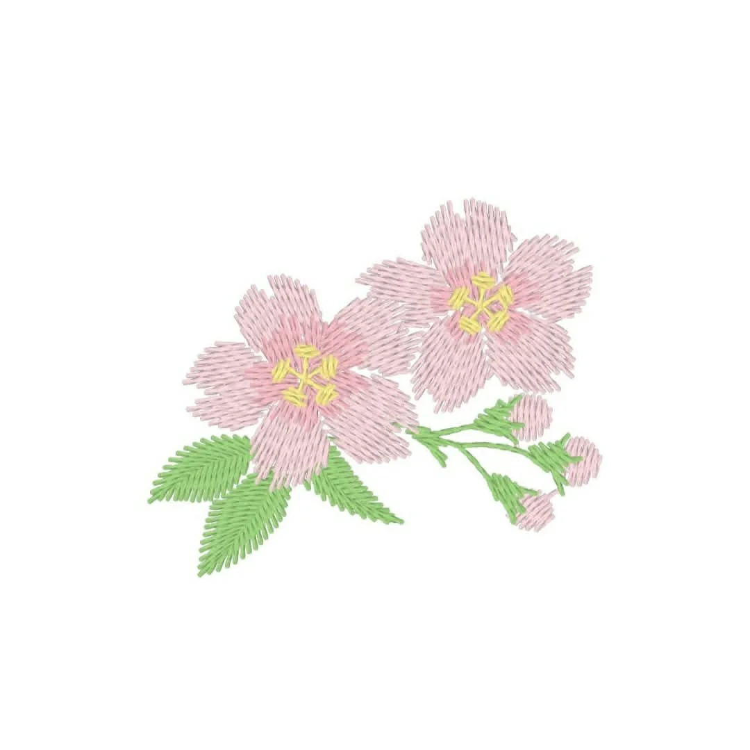 Plants - Flowers - cherry blossoms.jpg