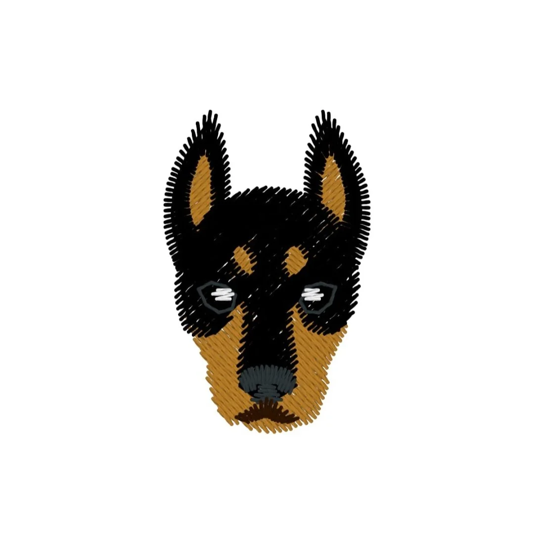 Animals - Dog - Doberman.jpg