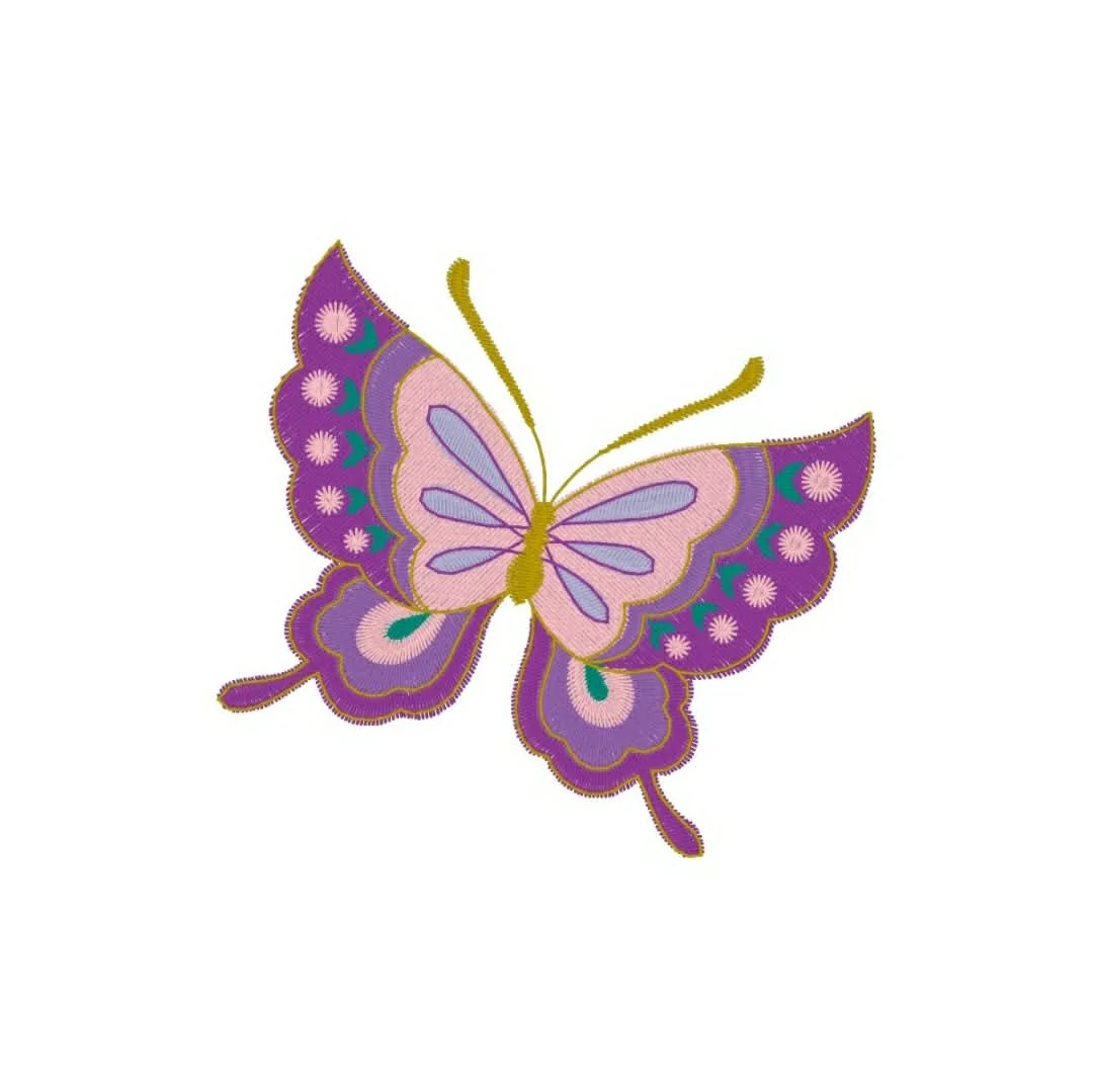 Animals - insect - butterfly colors.jpg