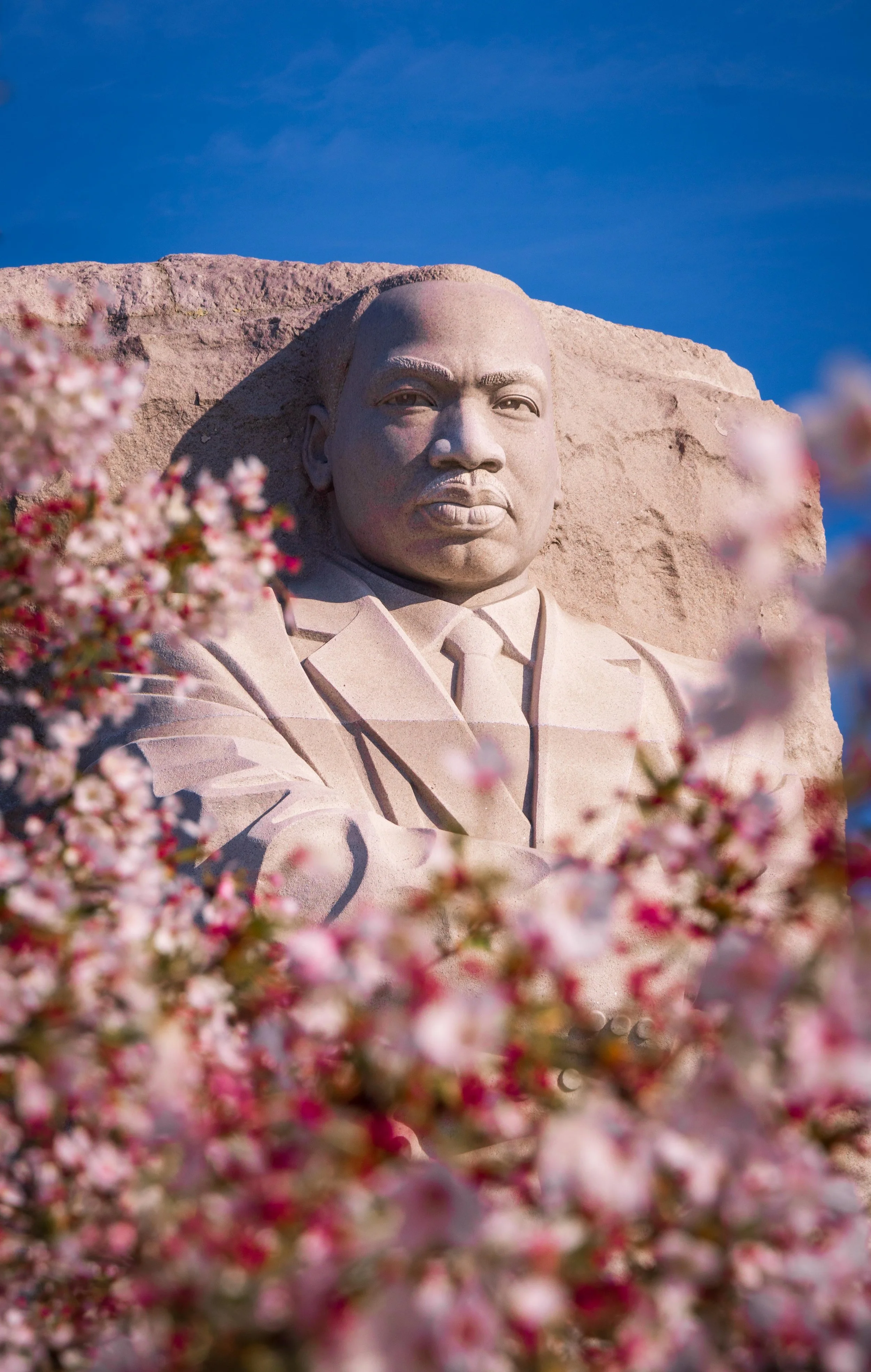 Close-up of the MLK memorial with pink blossoms in the foreground and a clear blue sky in the background.