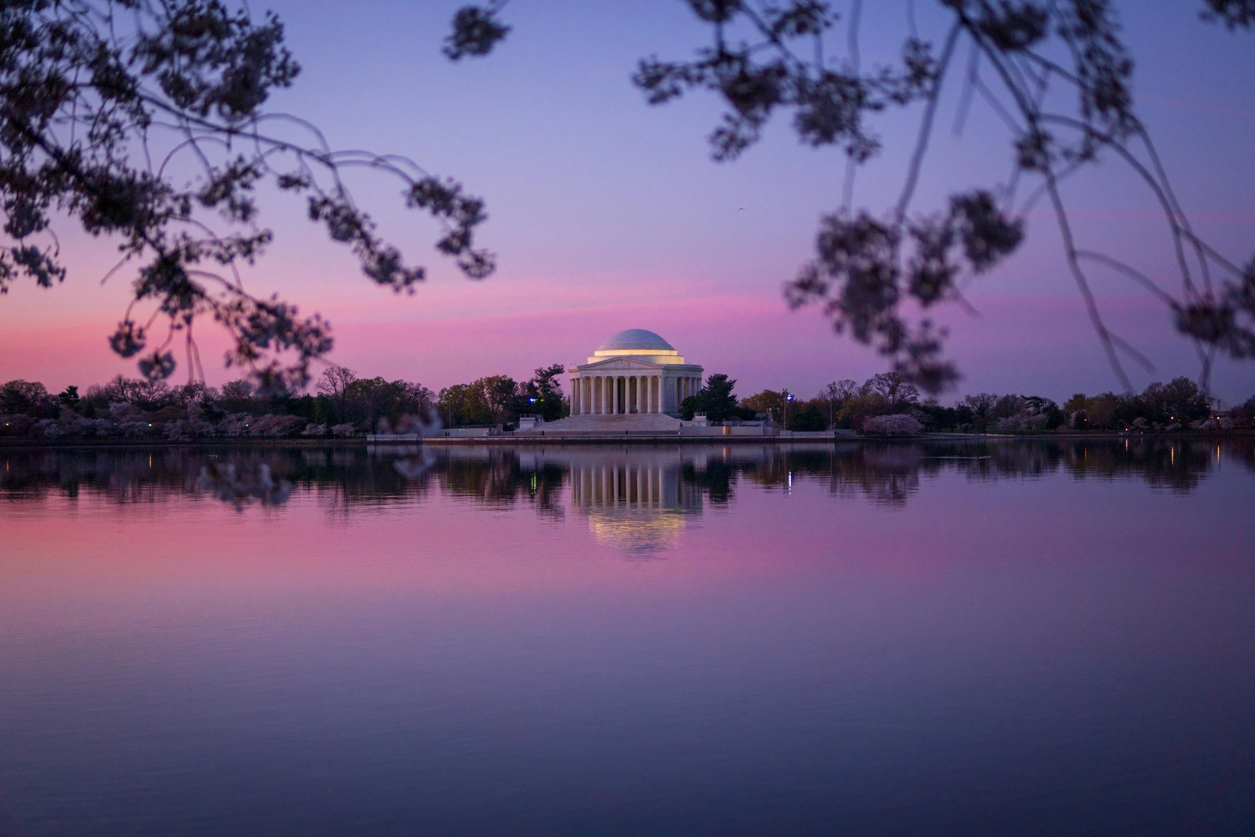 The Jefferson Memorial at sunrise, reflected in the calm water of the Tidal Basin, with pink and purple sky and overhanging cherry blossom branches.