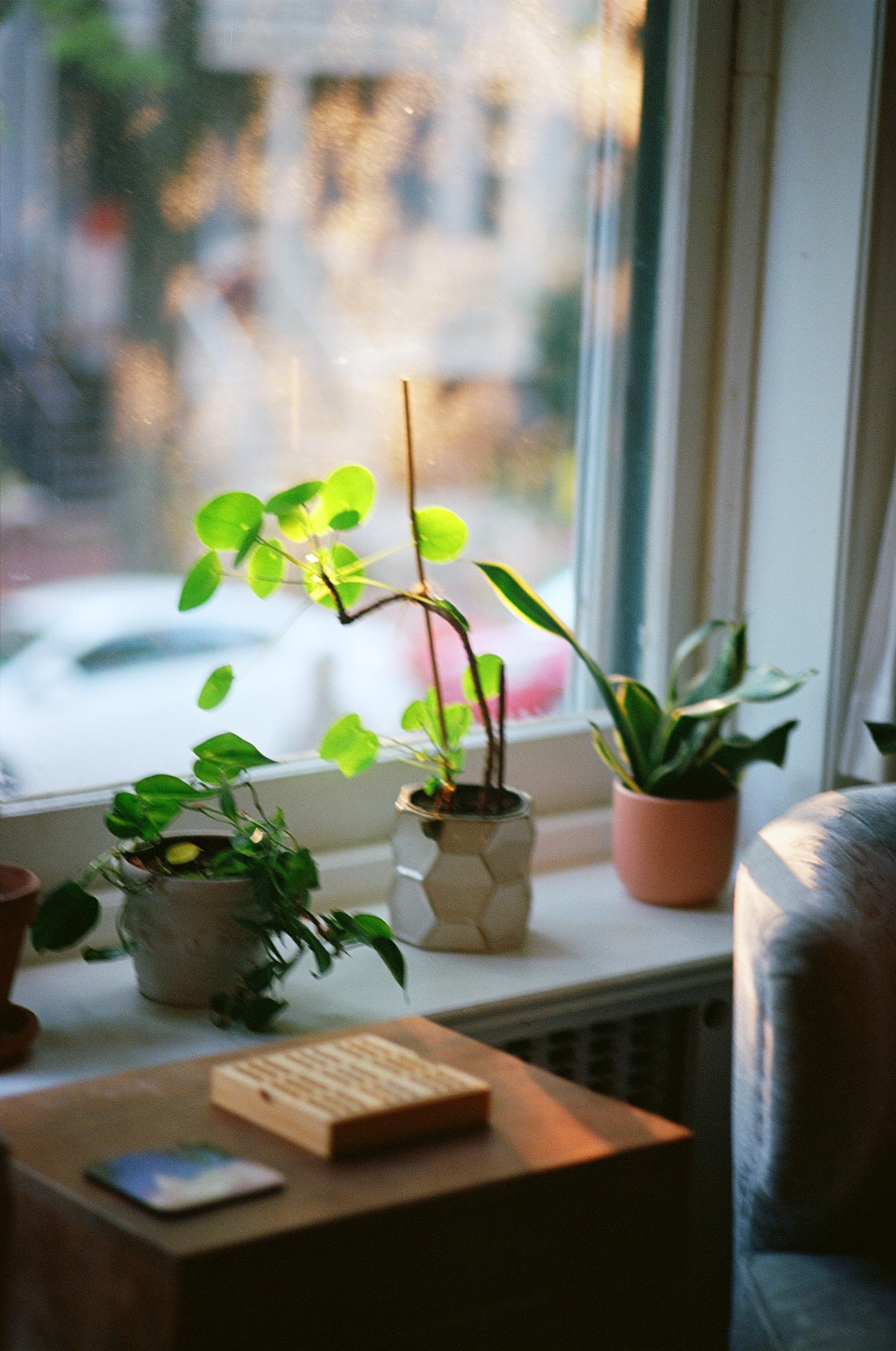 Sunlight coming through a window illuminating potted plants on a white sill and a wooden table with books and a small object in a cozy room.