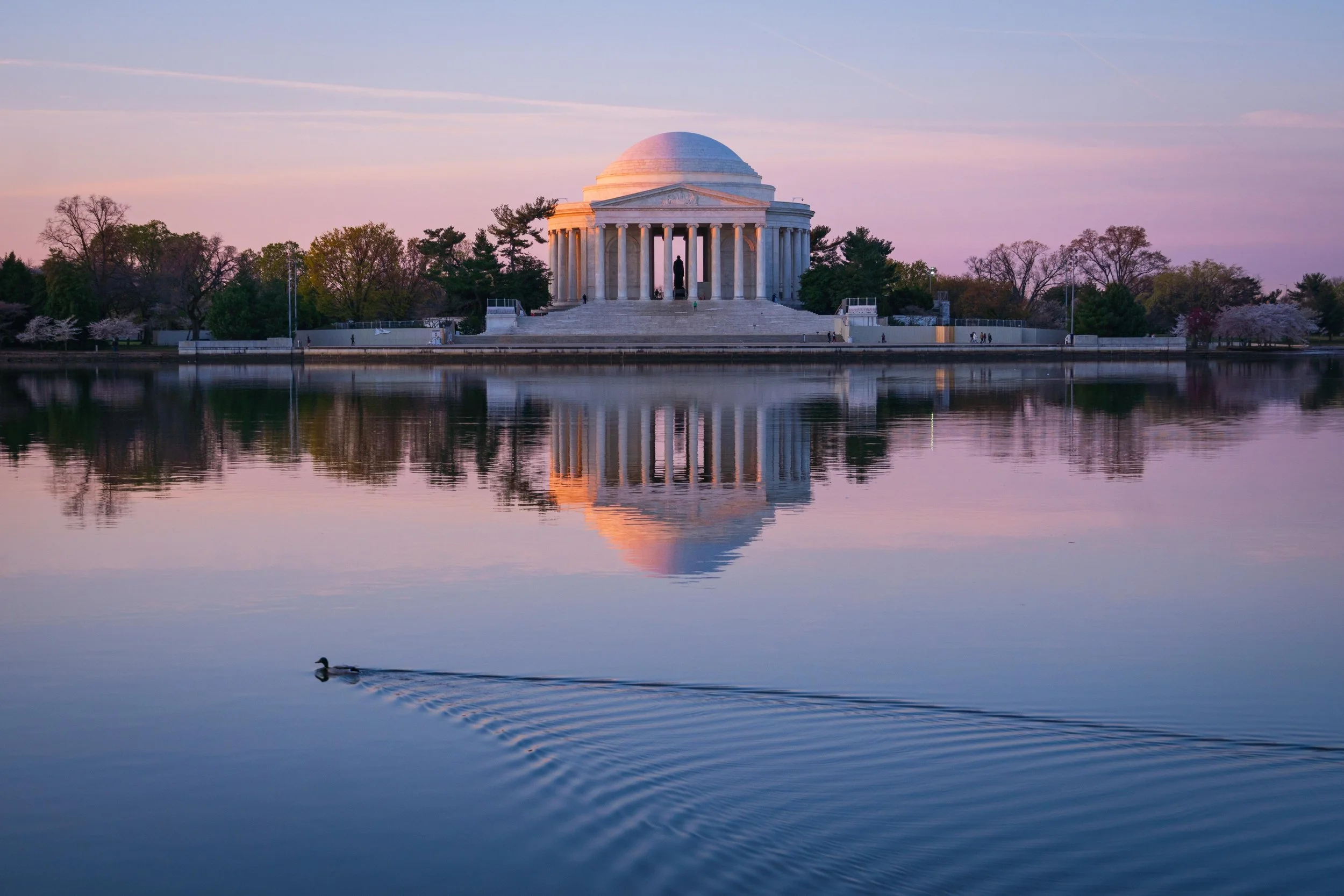 The Jefferson Memorial reflected in the calm water of the Tidal Basin at sunrise with a duck swimming in the foreground.