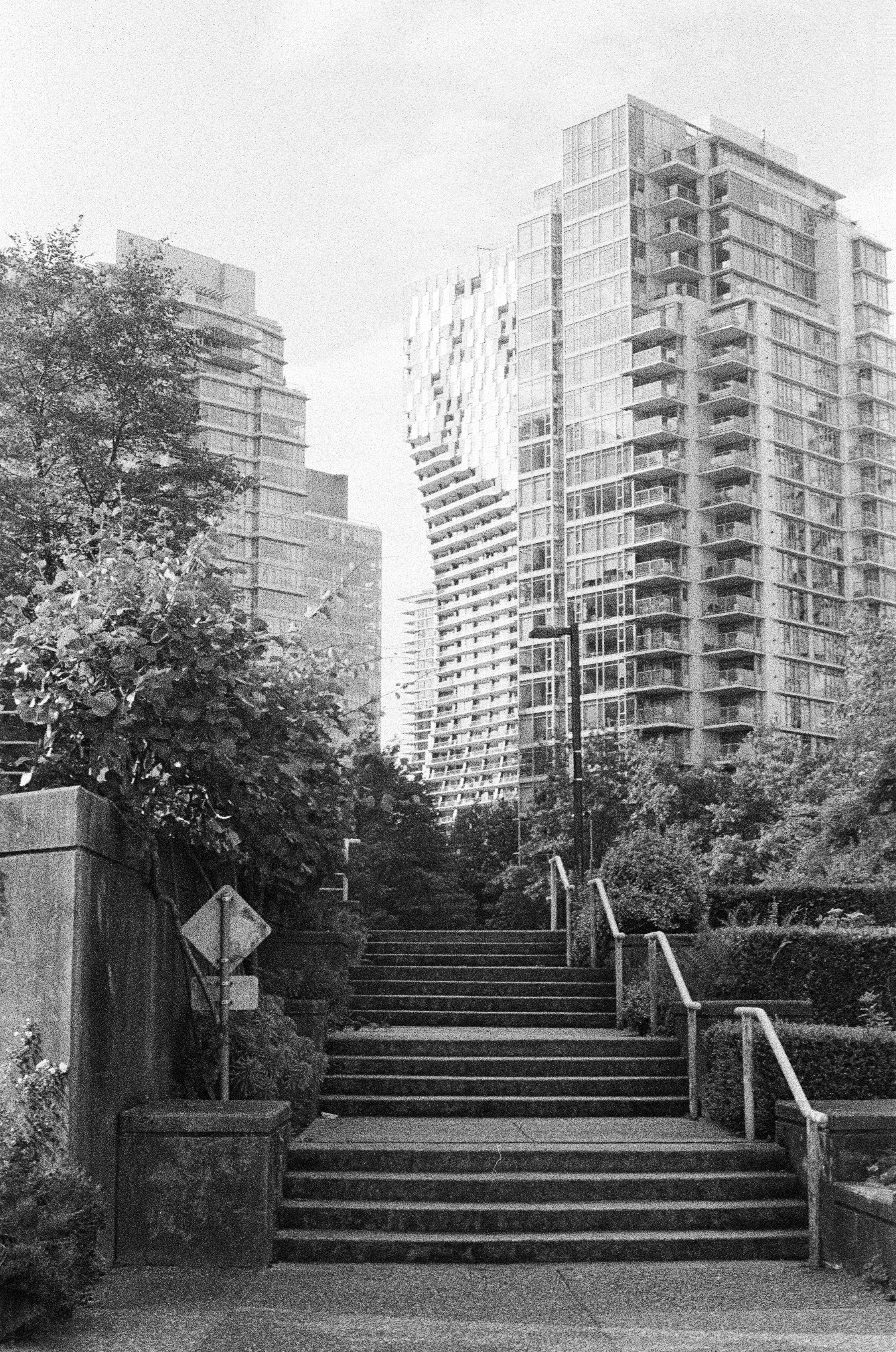 Black and white photo of outdoor stairway with bushes on sides, leading up to tall modern apartment buildings with numerous balconies, under a mostly clear sky.