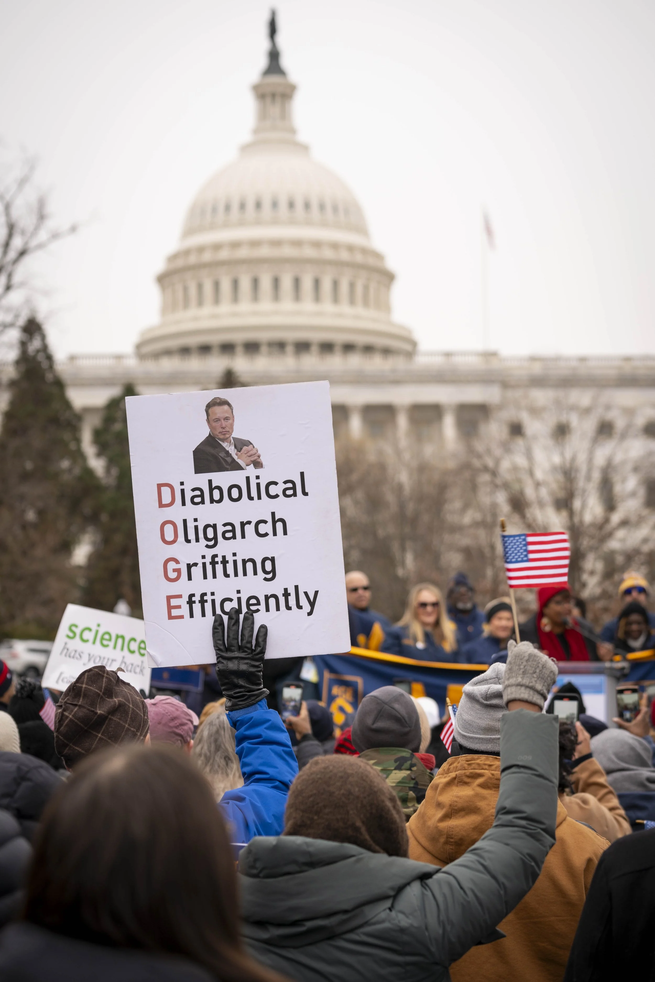 Crowd of people holding signs and small American flags in front of the U.S. Capitol building during a protest or rally on a cloudy day. One sign has a picture of Elon Musk and says "Diabolical Oligarch Grifting Efficiently."