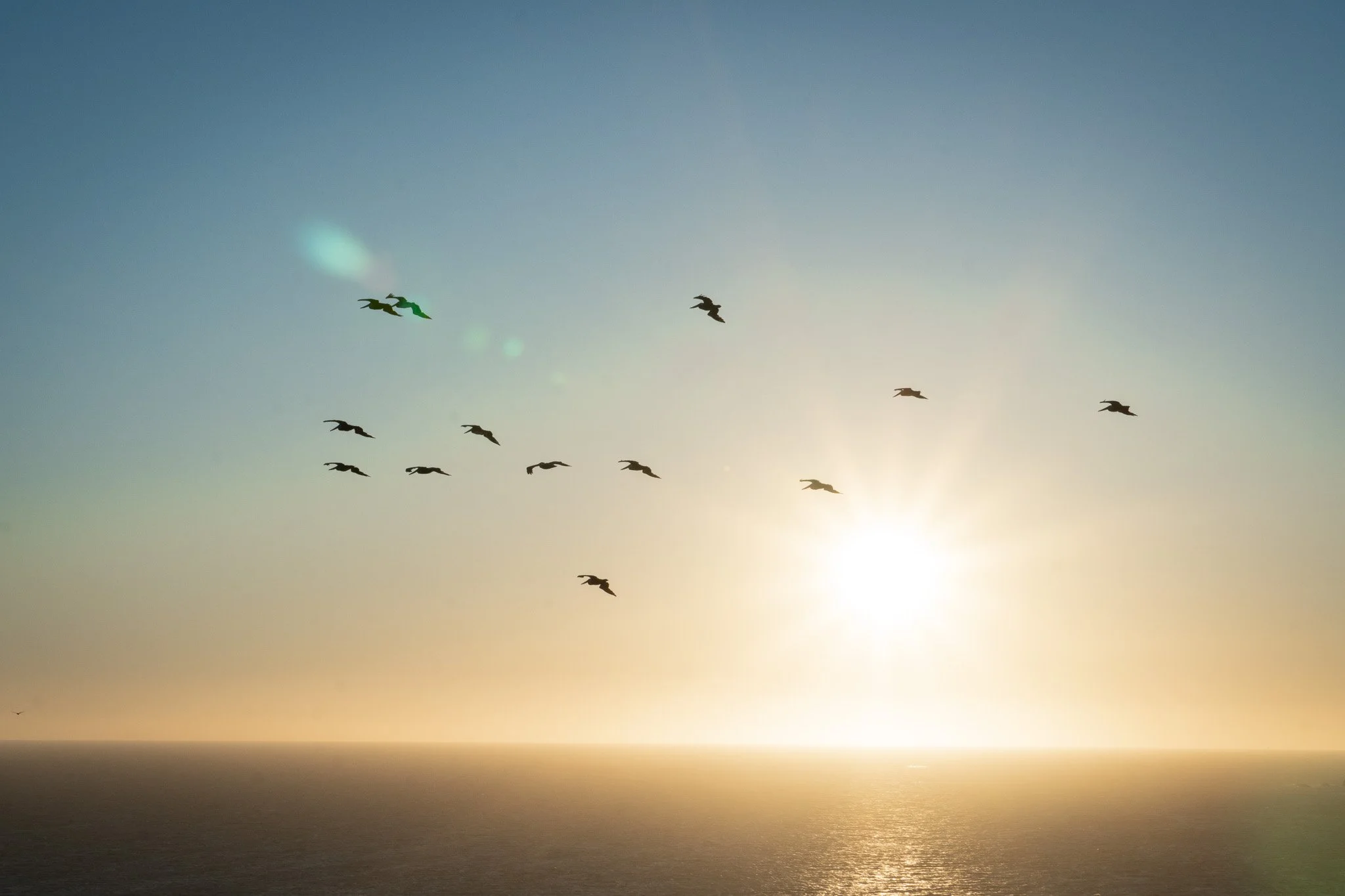 A group of seagulls flying over the ocean during sunset, with the sky transitioning from blue to a warm golden hue near the horizon.