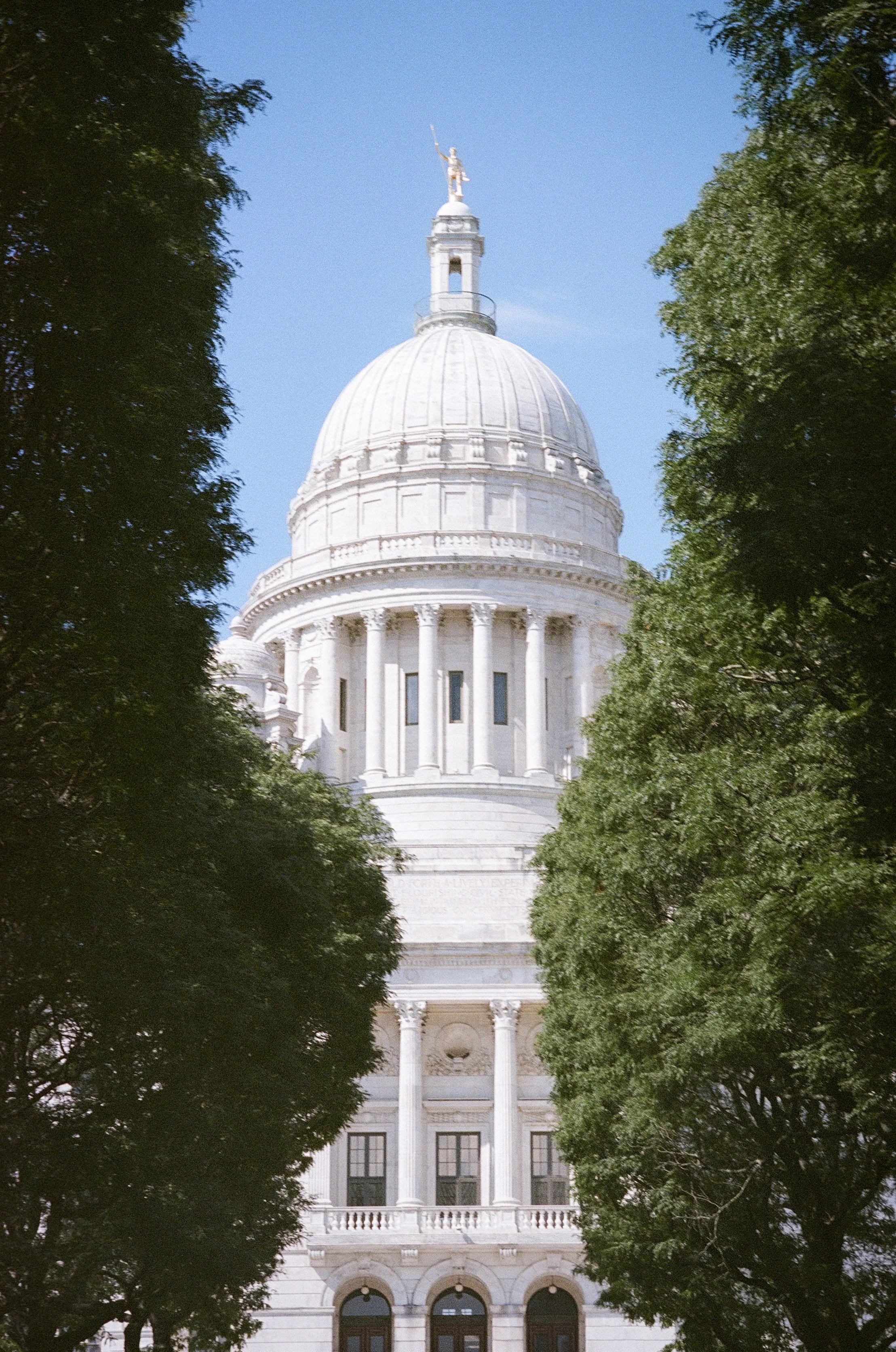 The dome of the United States Capitol building seen through a framed view created by two trees on either side, with a blue sky in the background.