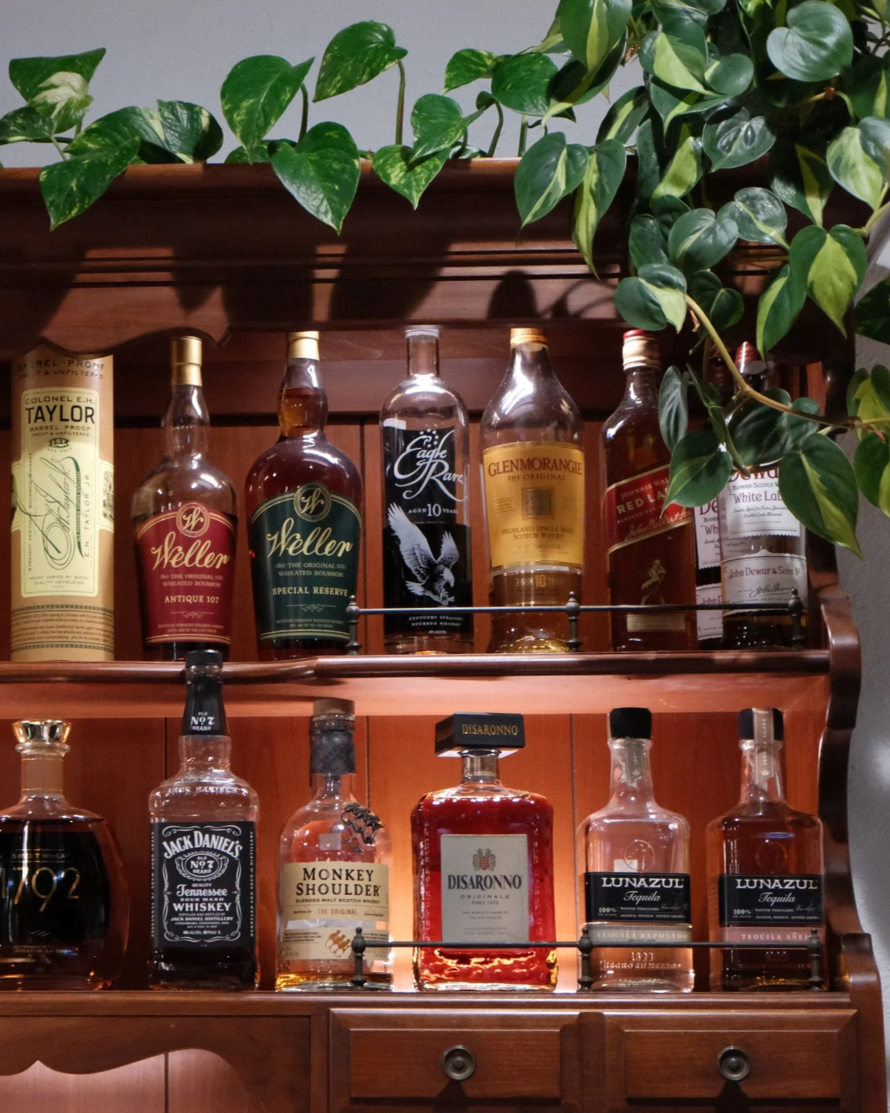 A collection of whiskey bottles on a wooden shelf with green leafy plants on top.