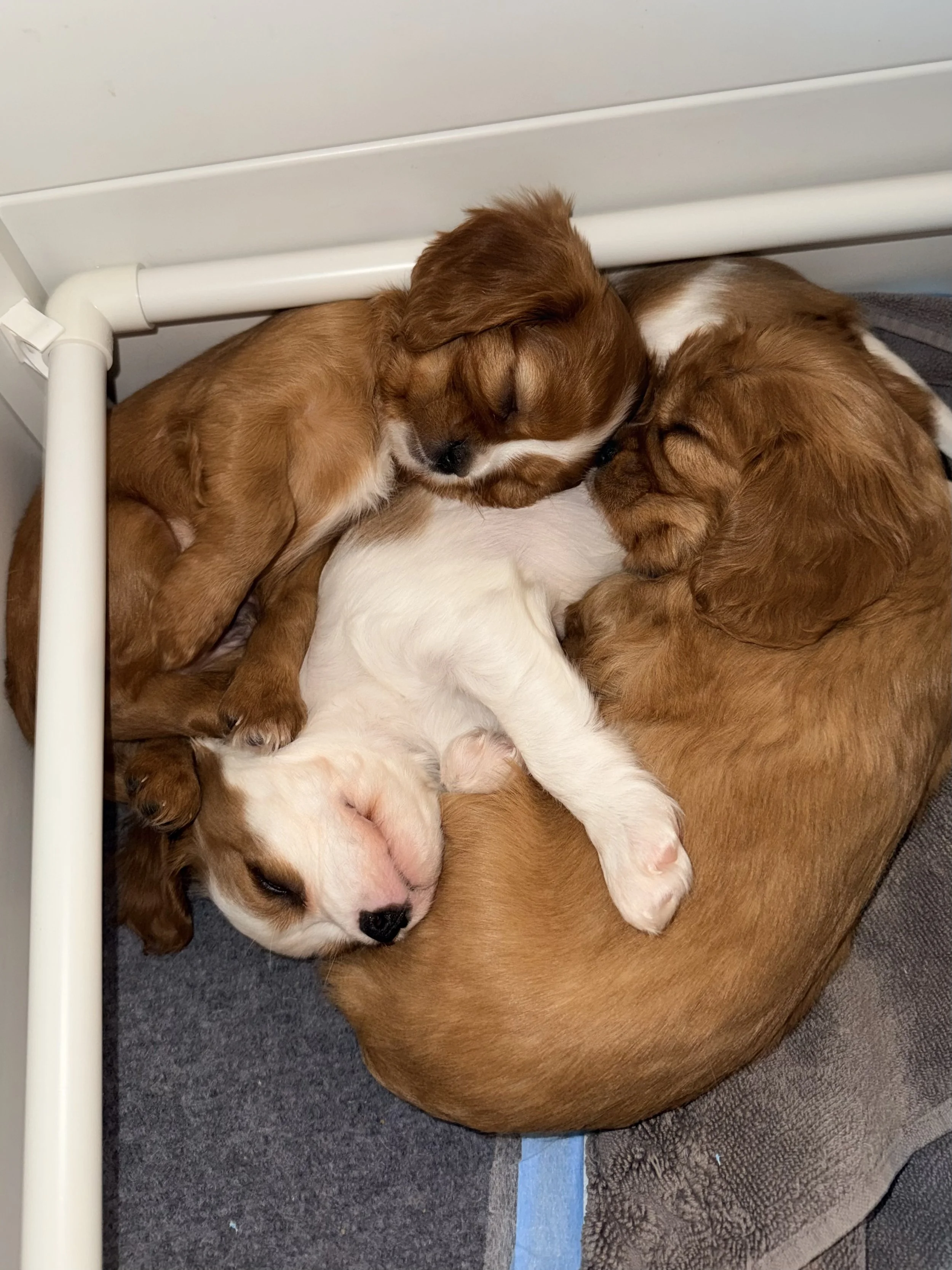 Watching Them Grow: Personalities Begin to Shine