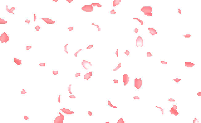 Pink and white flower petals scattered on a black background.