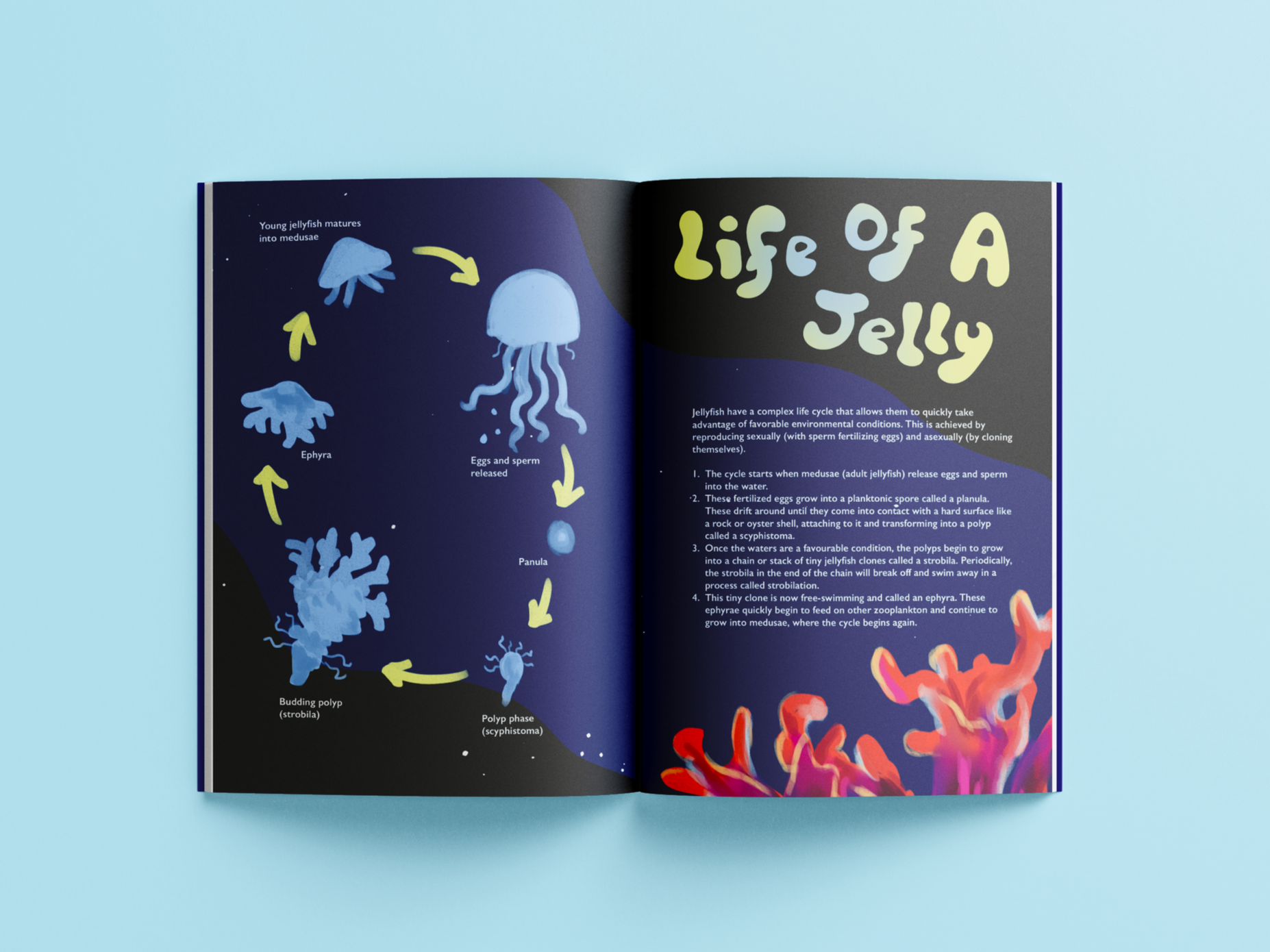 Free_Book_Mockup_6.png
