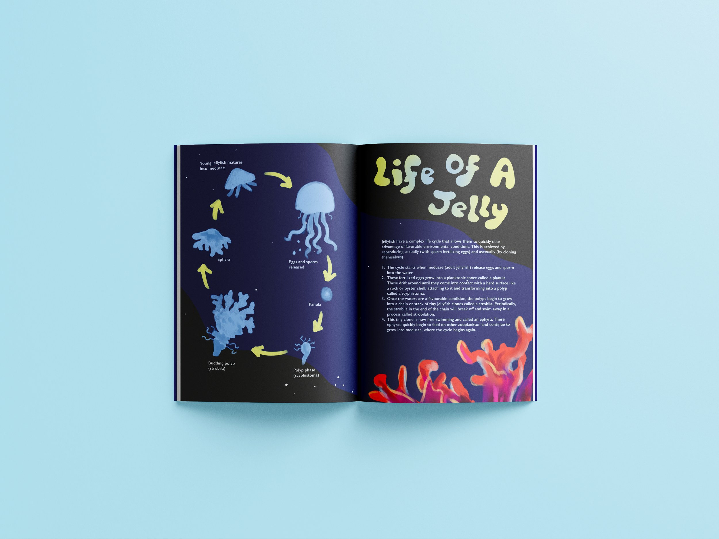 Free_Book_Mockup_6.png