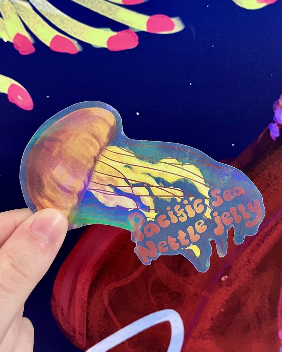 Pacific Sea Nettle Jelly