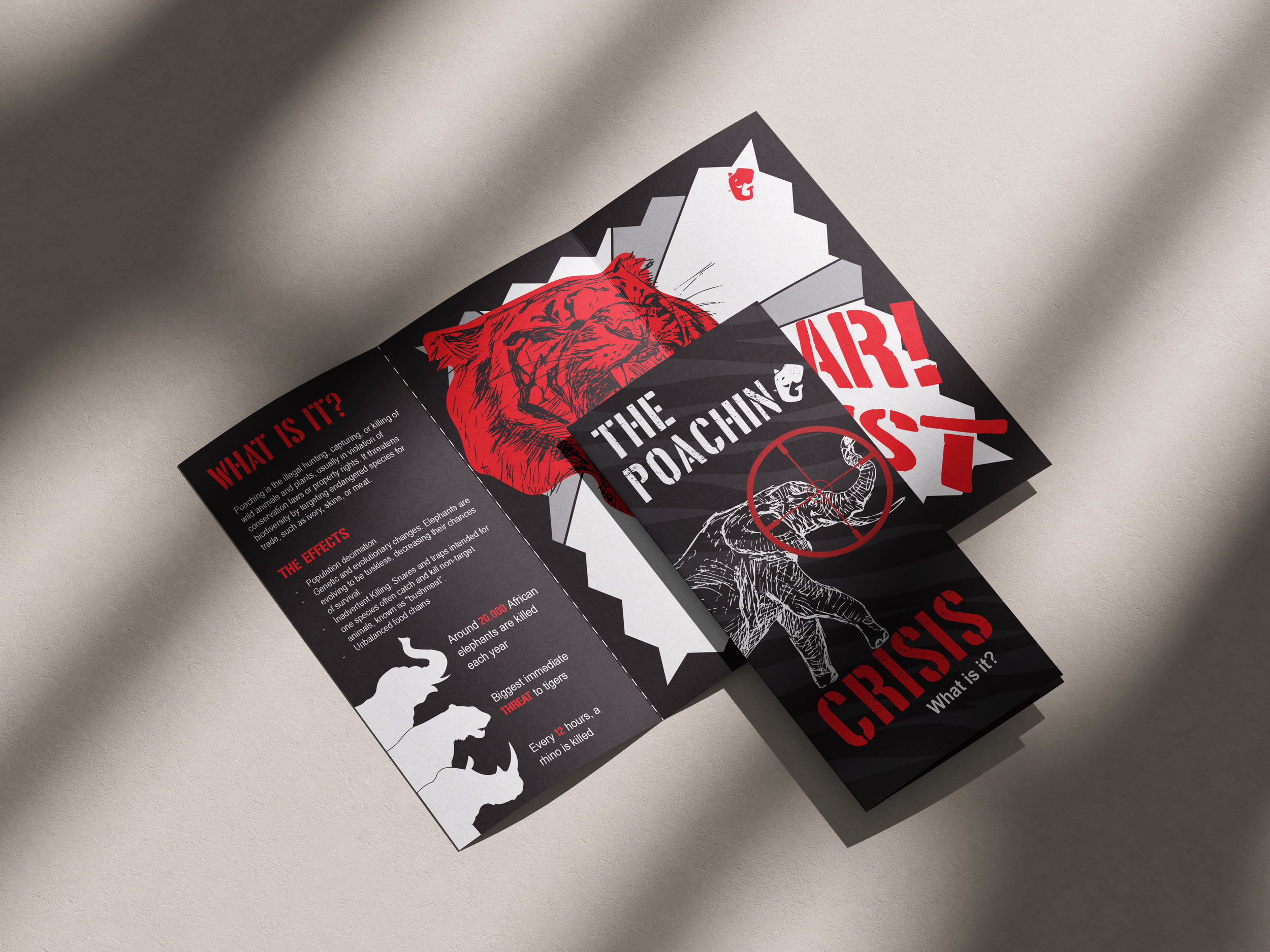 The Poaching Crisis Leaflet