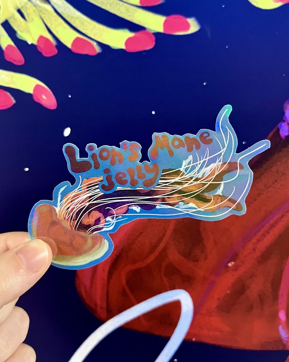 Lion's Mane Jelly