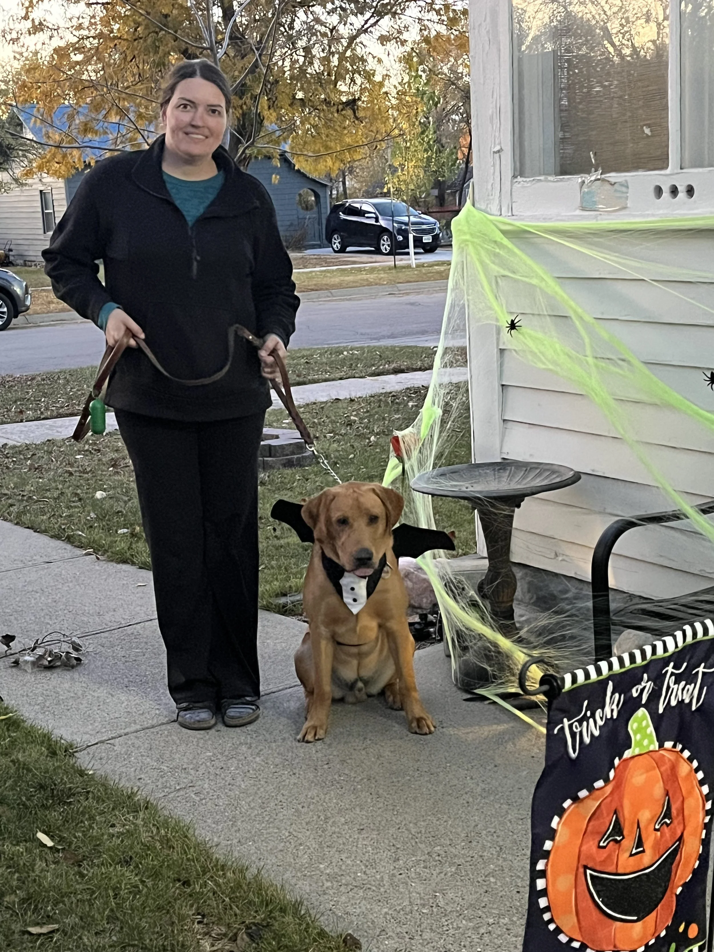 A woman standing on a sidewalk with a leash in her hand, holding a large dog dressed in a Halloween costume with bat wings and a bow tie. There are Halloween decorations, including a spider on a green web, near a house. It is fall, with trees having 