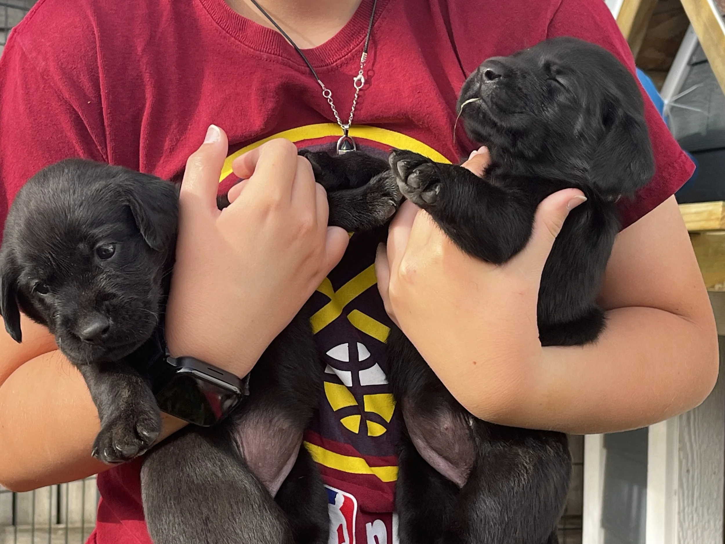 Person wearing a red shirt holding a black puppy with closed eyes.