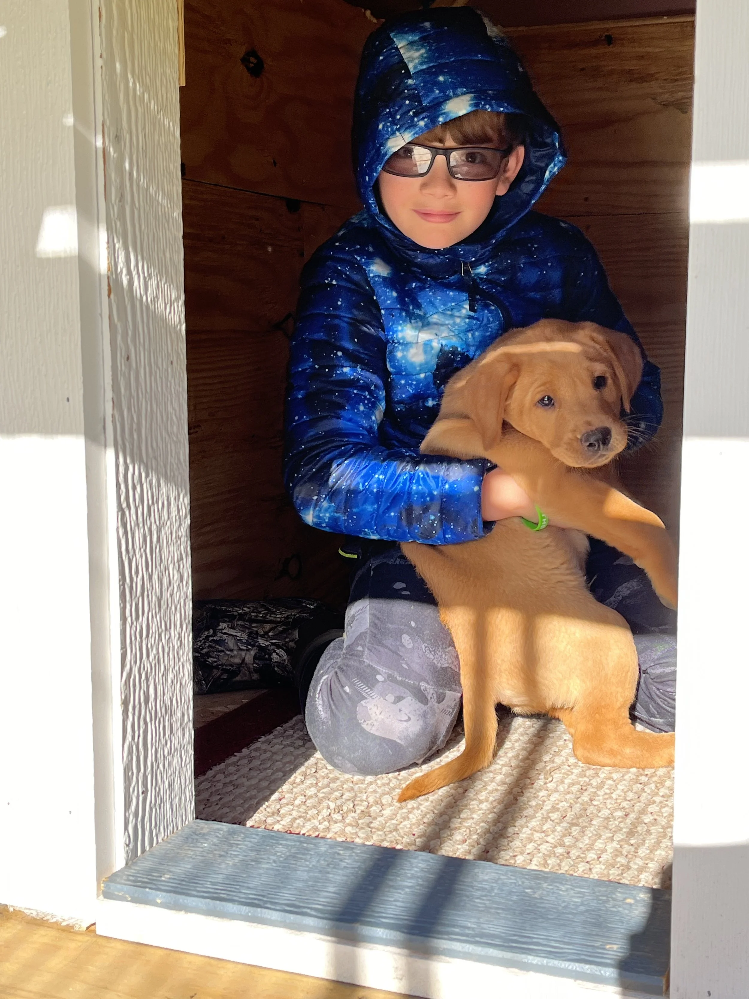 A boy wearing glasses and a galaxy-print jacket with the hood up, sitting inside a small wooden box or cubby, and holding a light brown puppy with floppy ears and a green collar on a beige rug.