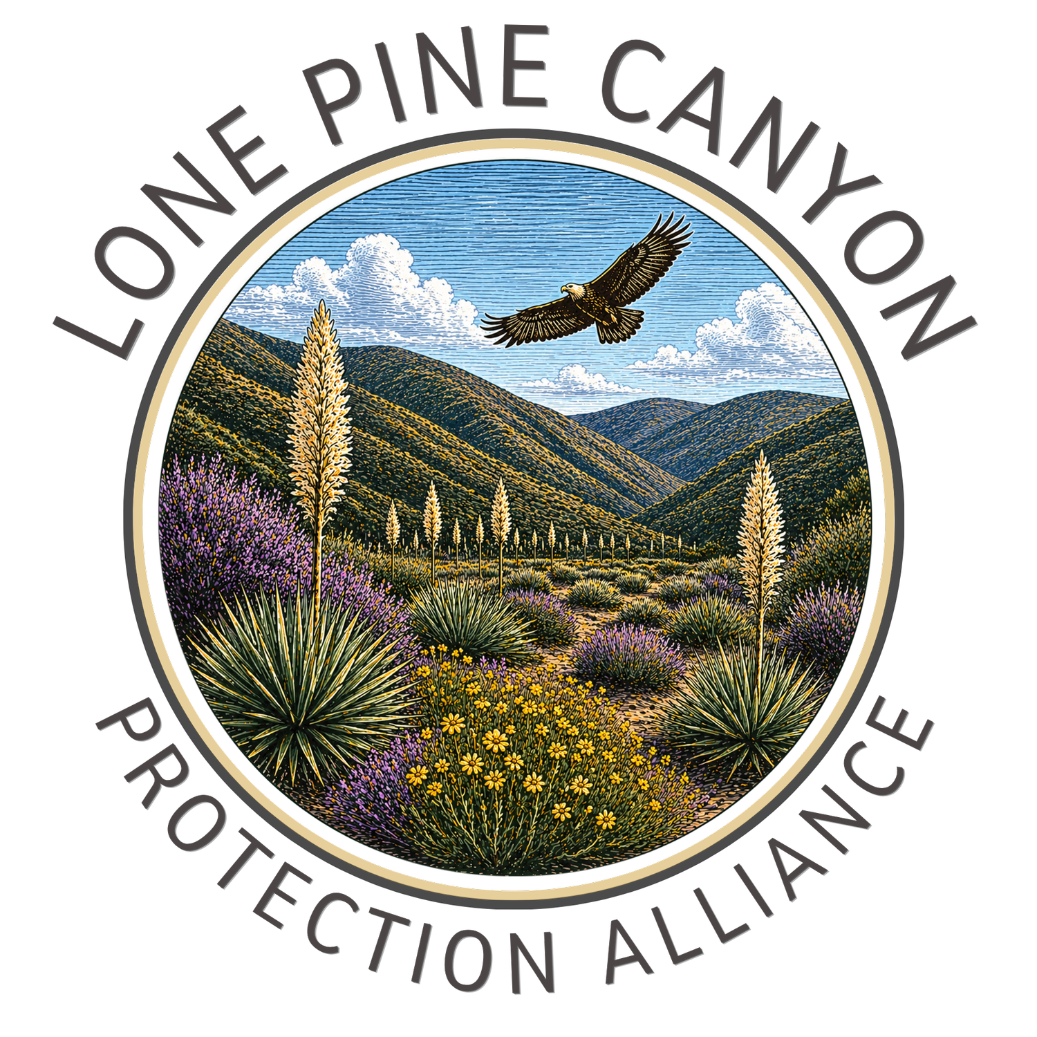 Stop the Lone Pine Canyon Quarry 