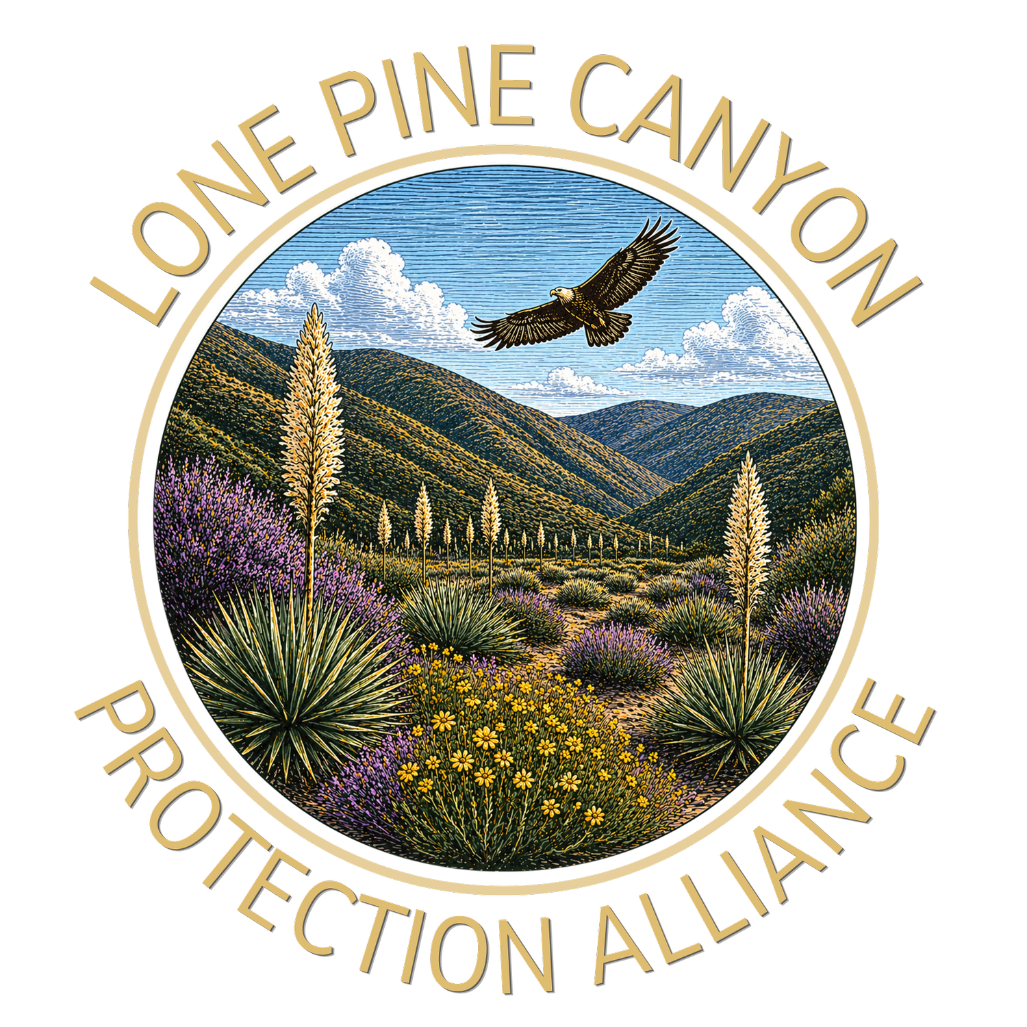 Stop the Lone Pine Canyon Quarry 