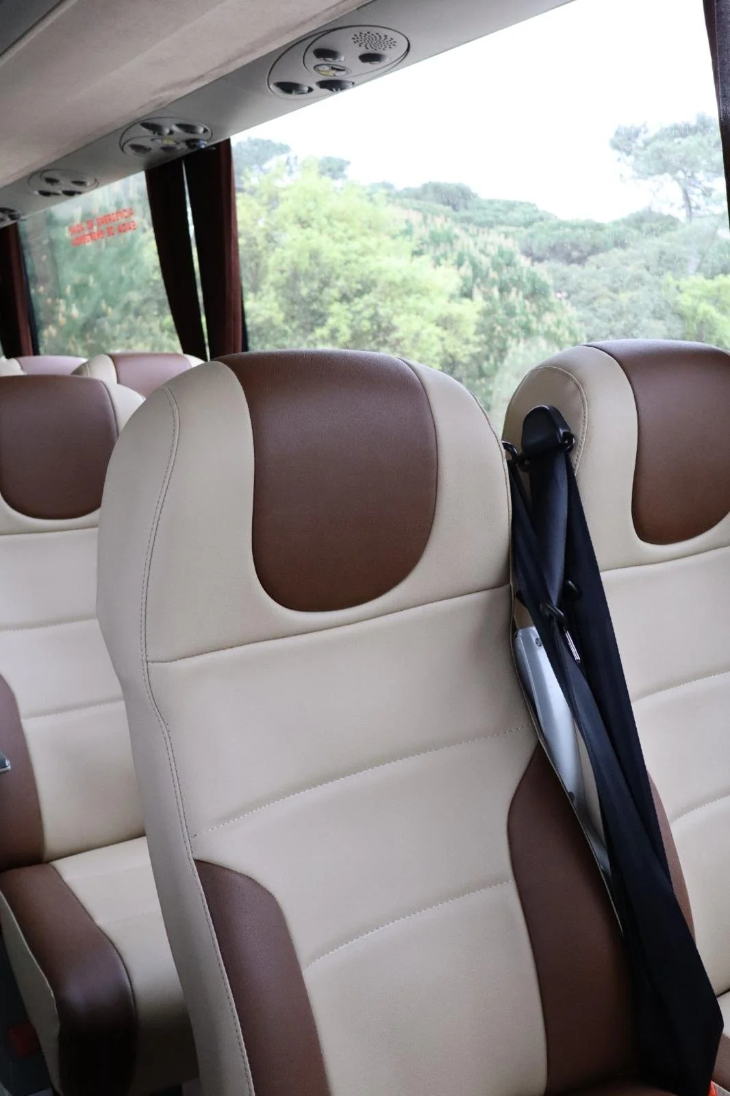 Assentos de ônibus de cor bege com detalhes marrons, com uma janela mostrando uma paisagem de árvores verdes ao fundo.