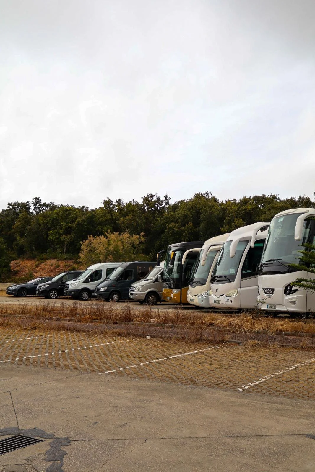 Estacionamento ao ar livre com vários veículos, incluindo carros e ônibus, com árvores ao fundo e céu nublado.