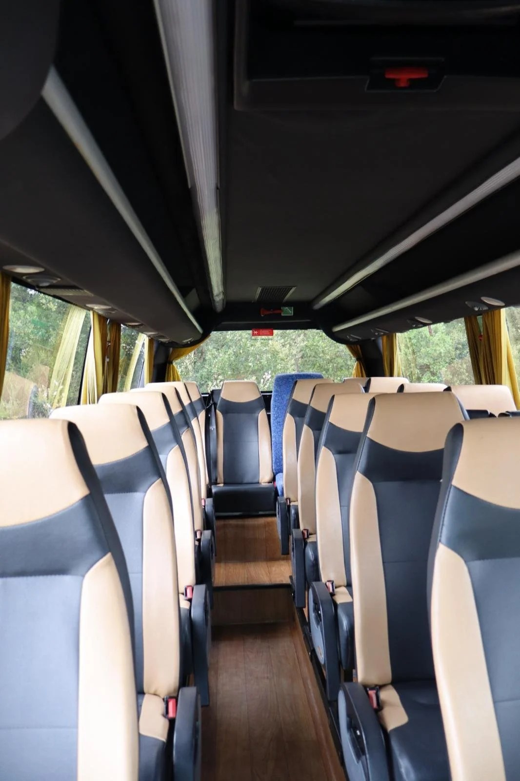 Interior de um ônibus com assentos bege e pretos e janelas com cortinas amarelas, com uma vista de árvores verdes através das janelas.