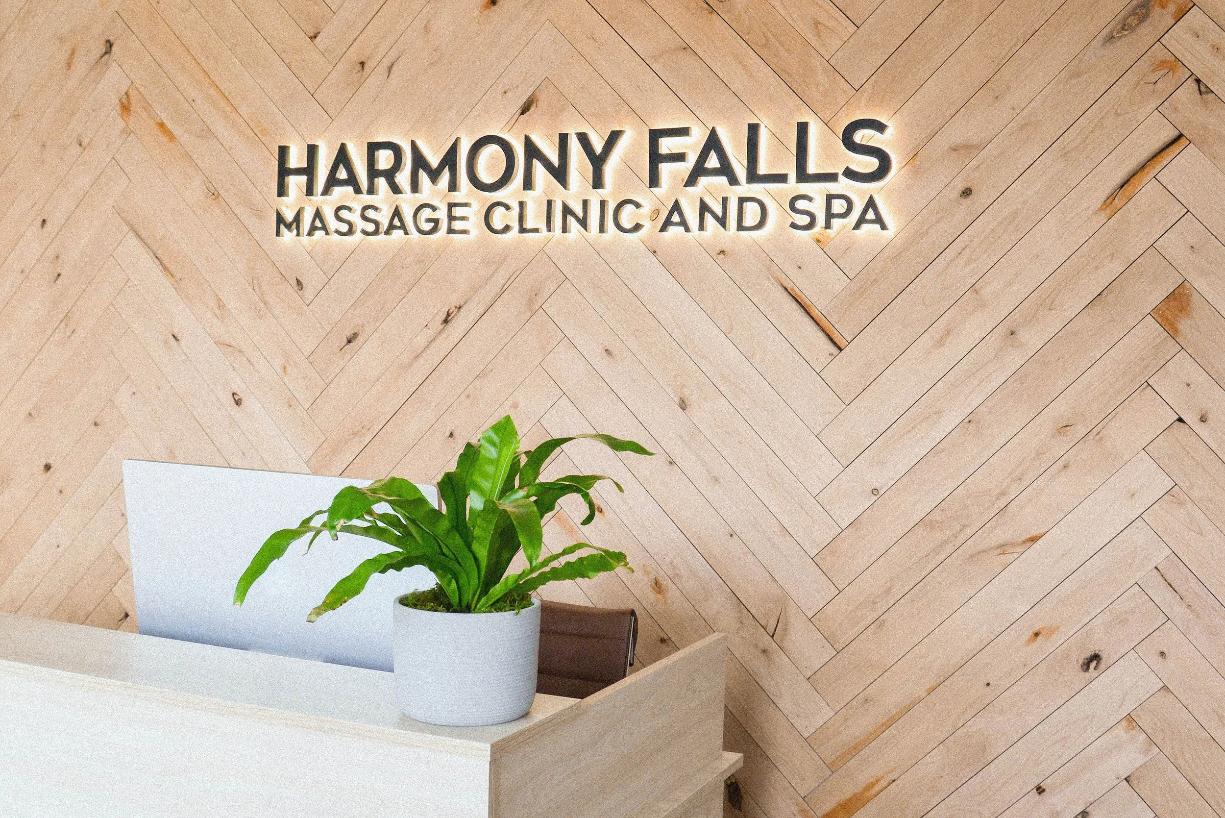 A potted green plant on a white countertop in front of a wooden wall with a sign that reads 'HARMONY FALLS MASSAGE CLINIC AND SPA'.