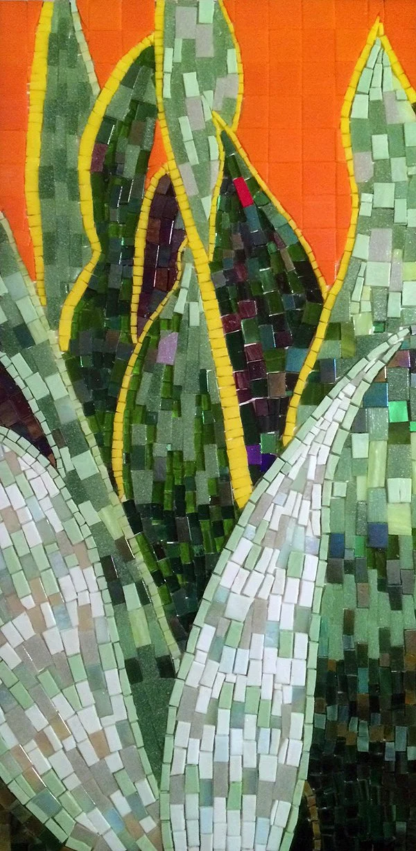 snakeplant-mosaic.jpg