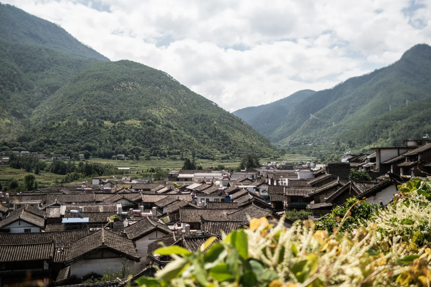 dmX_Tibet & Yunnan19.webp
