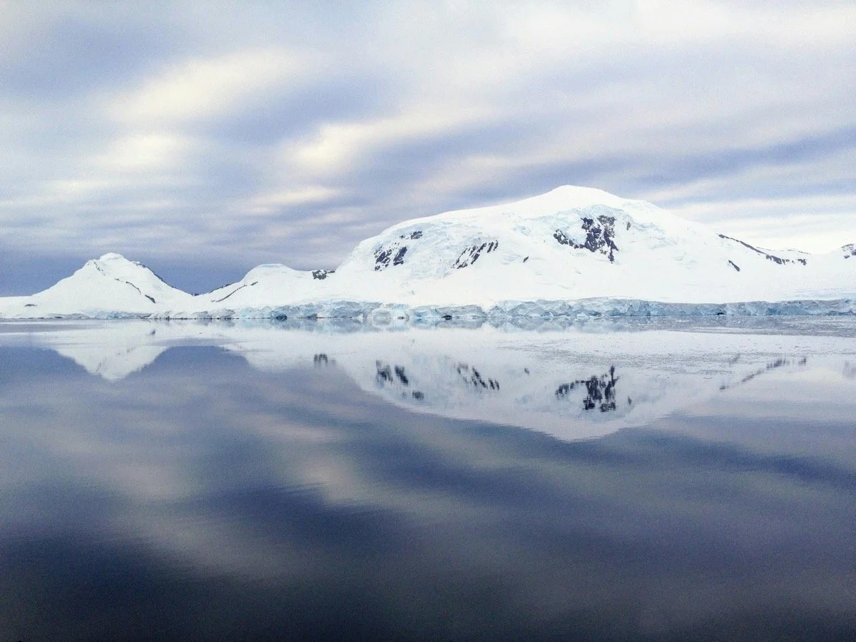 dmX_Arctic8.jpg