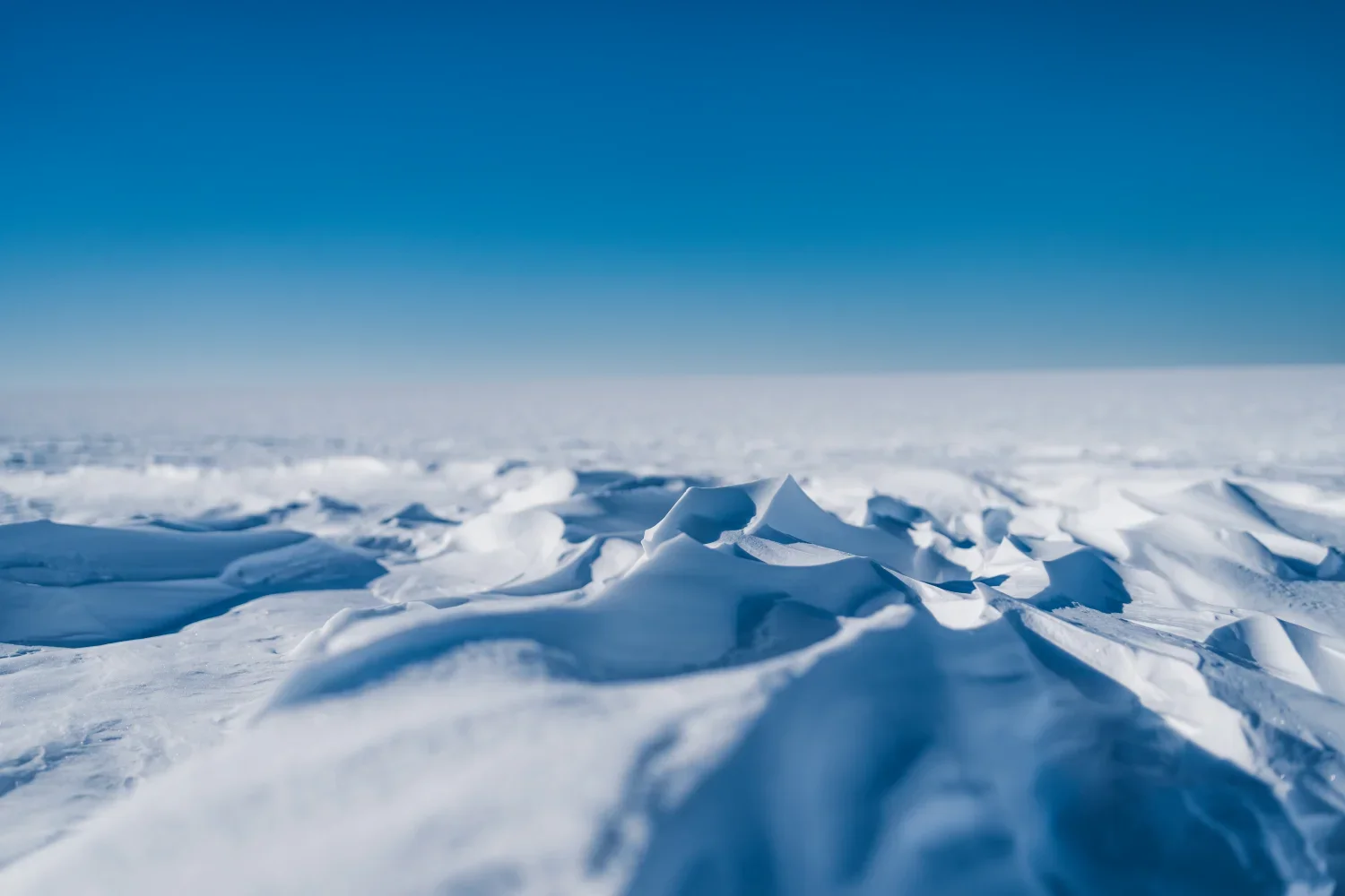 dmX_The Grand Traverse_Antarctica Expedition16.webp