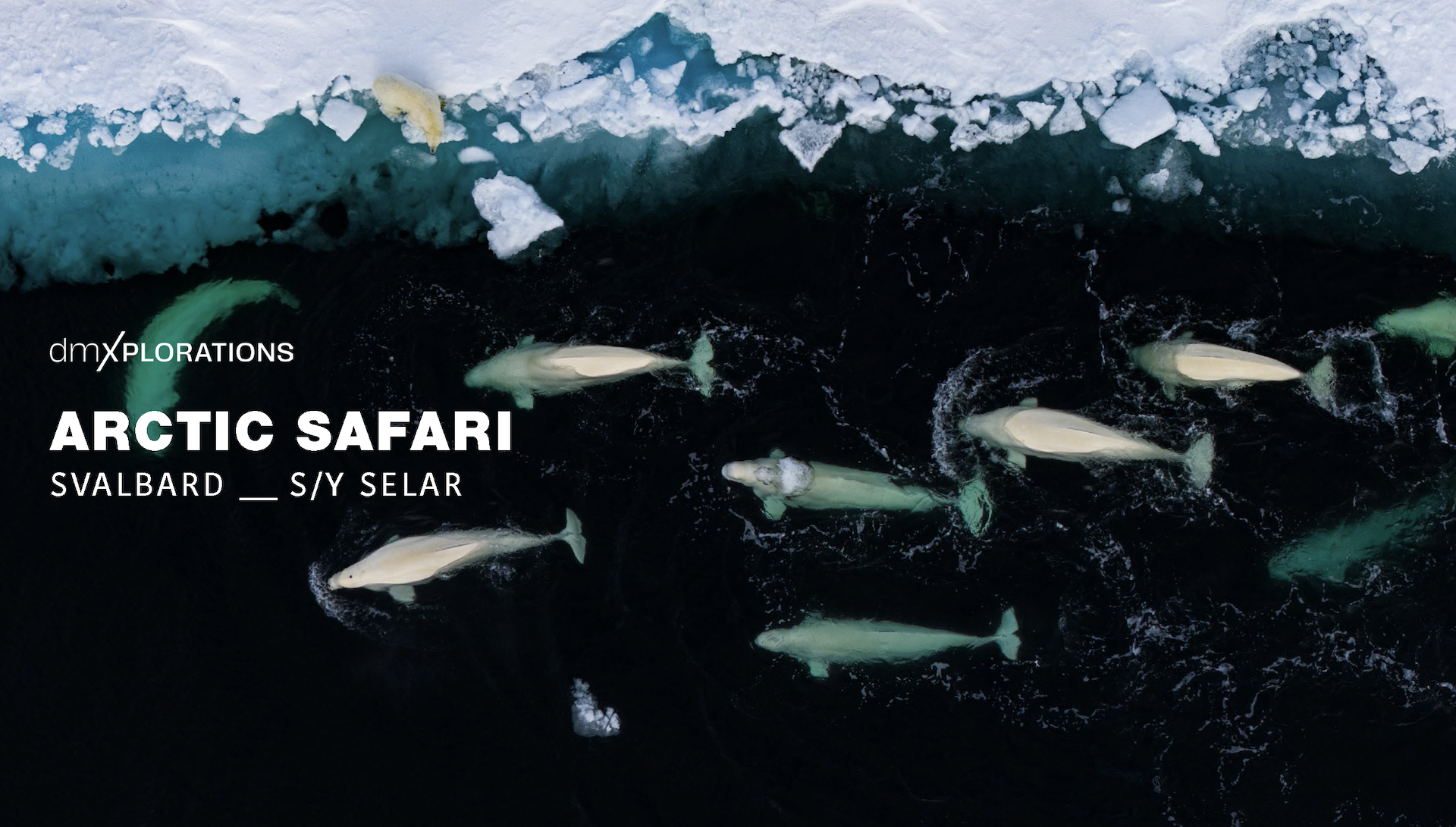 SVALBARD_SELAR