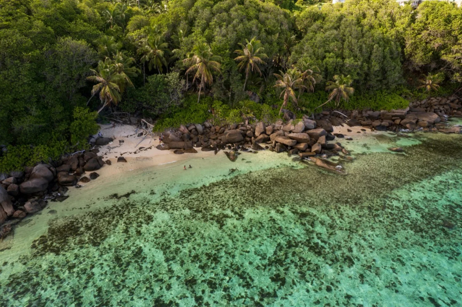 dmX_Seychelles7.webp