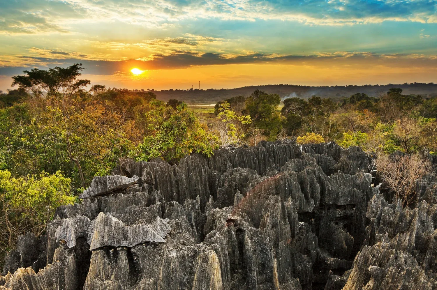 Discover_Madagascar_dmX6.jpg.webp