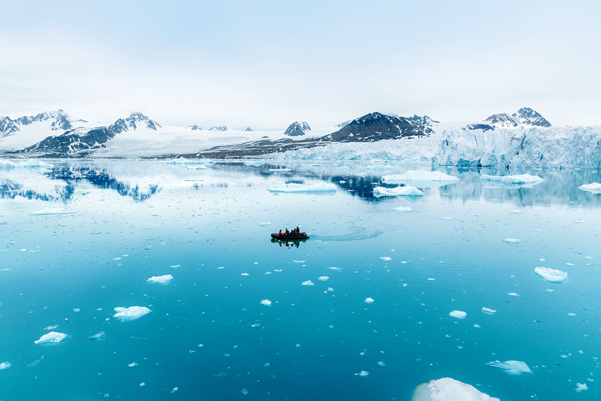 dmX_Arctic1.png