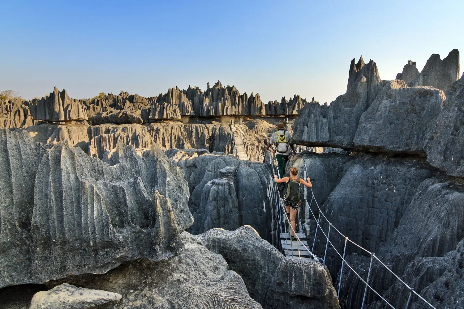 Discover_Madagascar_dmX9.jpg.webp